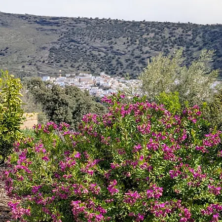 Bed & Breakfast En Ohanes, 1 - El Cortijo Escondido, La Rosa *